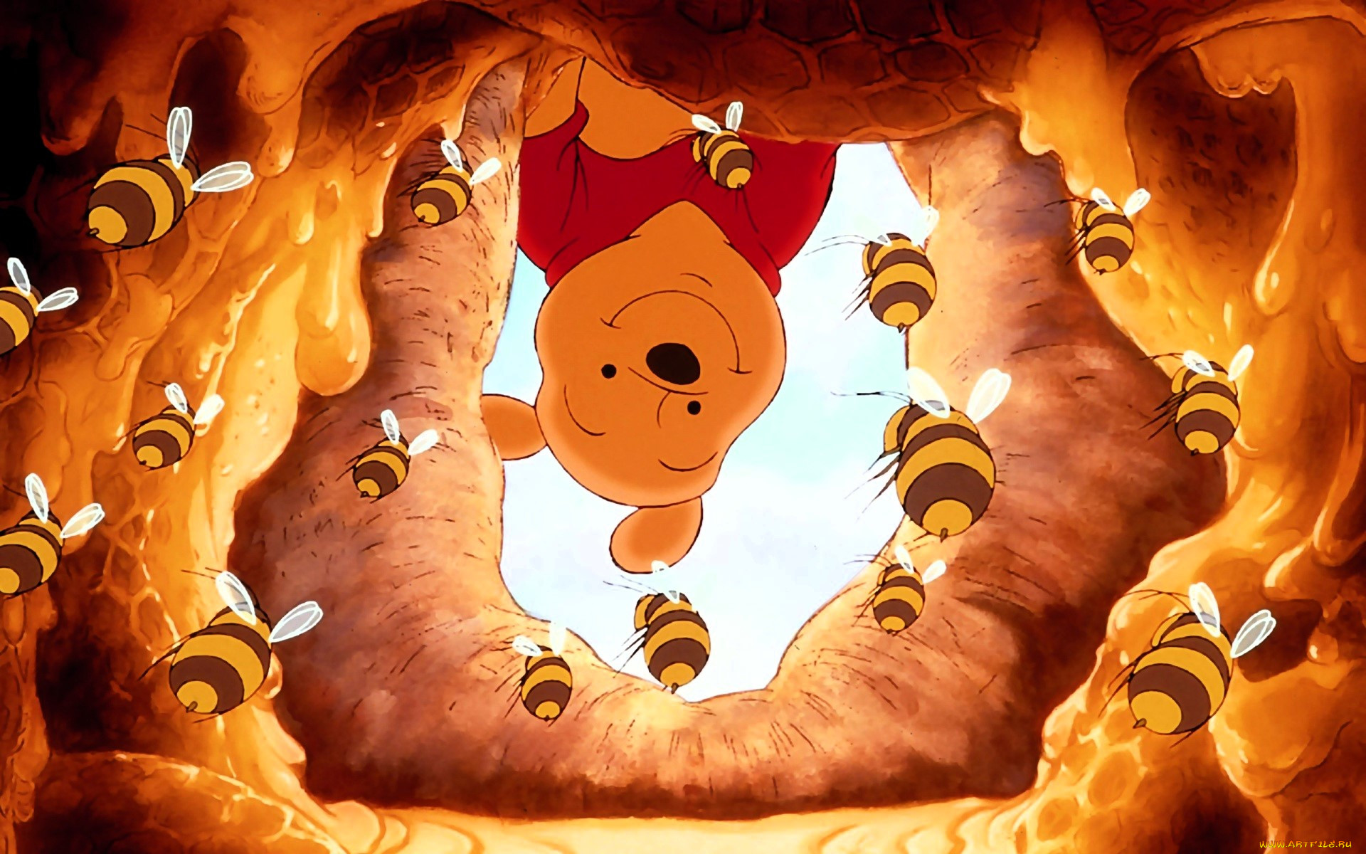 , winnie the pooh, -, , 